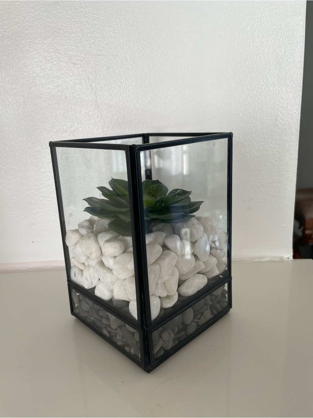 Crate&Barrel Black Glass Terrarium with White Pebbles and Green Succulent